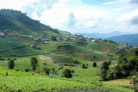 Vegetable garden on the big mountain as backgroundの写真素材