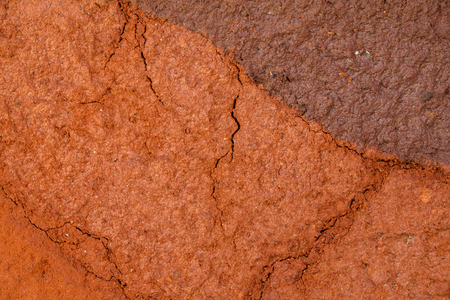 peat soil as a backgroundの写真素材