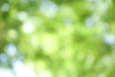 abstract background green bokeの写真素材