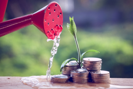 Money and plant with hand with filter effect retro vintage styleの写真素材