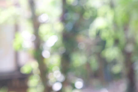 abstract background bokeh