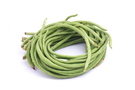 long lentils isolated on white backgroundの写真素材