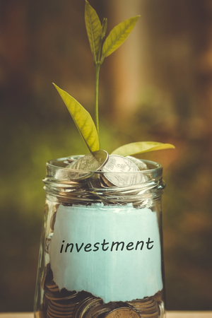 save money for investment concept plant growing out of coins with filter effect retro vintage styleの写真素材
