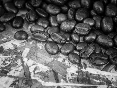Coffee Beans with filter effect blabk and white styleの写真素材