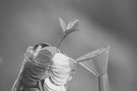 save money for investment concept  with filter effect blabk and white styleの写真素材