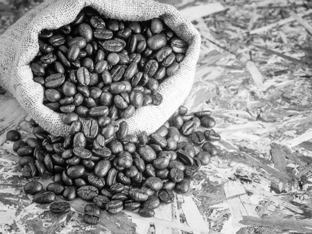 Coffee Beans with filter effect blabk and white styleの写真素材