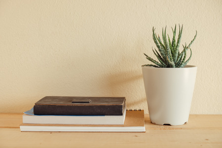 Indoor plant on wooden tableの写真素材