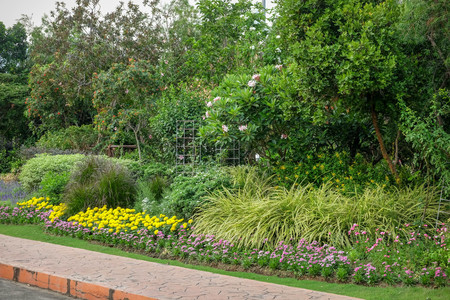 Trees in the shade gardenの写真素材