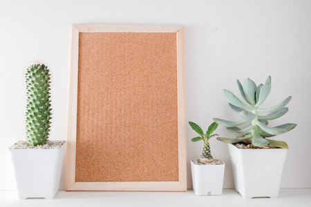 succulents or cactus in concrete pots over white background on the shelf and mock up frame photoの写真素材