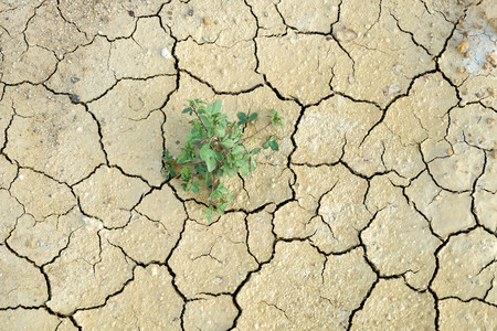 abstract background rift of soil Climate change and drought landの写真素材