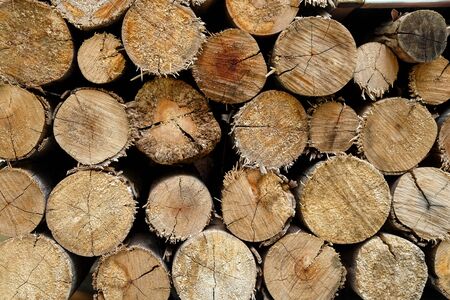 wood  texture backgroundの写真素材