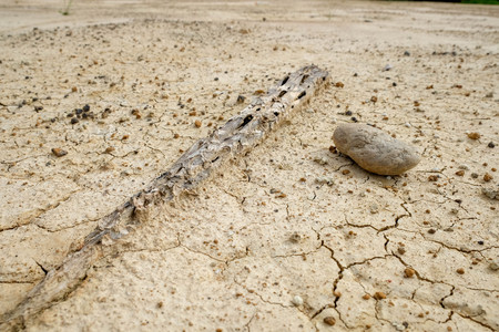 abstract background rift of soil Climate change and drought landの写真素材