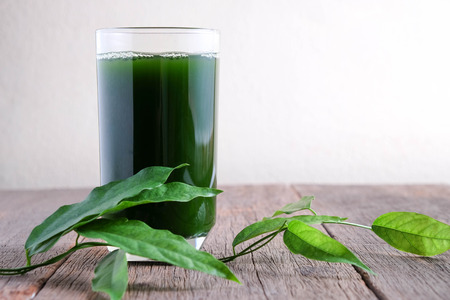 Bamboo grass, bai-ya-nang juice  . (Name spelled as Thailand) Tiliacora triandraの写真素材