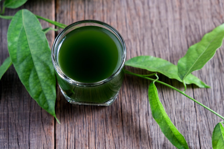 Bamboo grass, bai-ya-nang juice  . (Name spelled as Thailand) Tiliacora triandraの写真素材