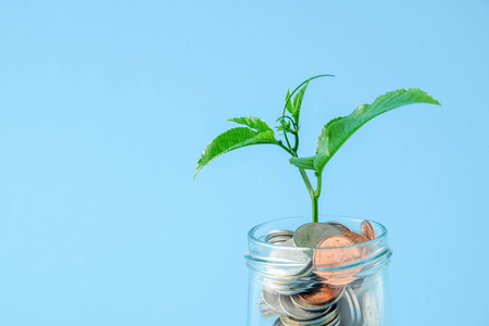 save money for investment concept. plant growing out of coinsの写真素材