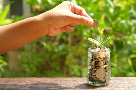 save money for investment concept. plant growing out of coinsの写真素材