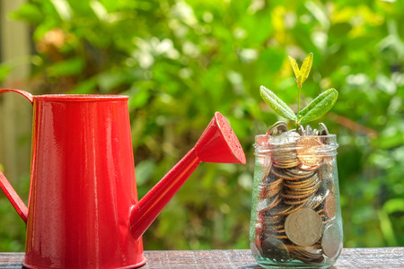 save money for investment concept. plant growing out of coinsの写真素材