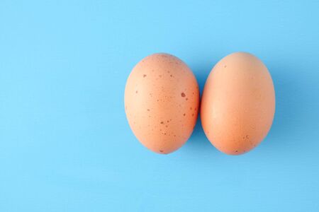 Chicken eggs are a popular food worldwide.の写真素材