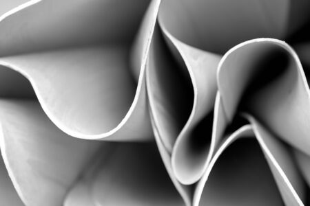 Abstract lines on architecture. modern architecture detail. Refined fragment of contemporary office...