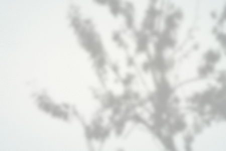 abstract background textuer of shadows leaf on a concrete wall.