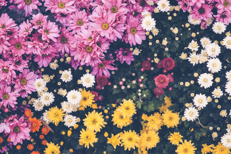 Flower background. Pink purple flower in the garden with filter effect retro vintage style