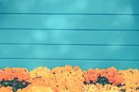 Flower background. Yellow orange flower in the garden with filter effect retro vintage styleの写真素材