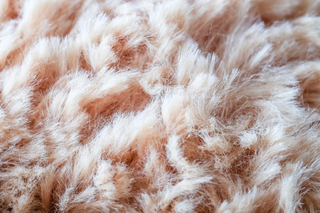Fur background wool texture abstract 
