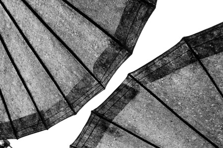 Abstract lines on architecture. modern architecture detail. Refined fragment of contemporary office interior / public building.の写真素材