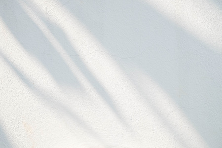 Black and White  abstract background textuer of shadows leaf on a concrete wall.の写真素材