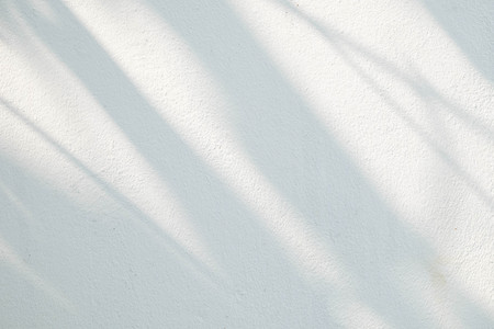 Black and White  abstract background textuer of shadows leaf on a concrete wall.の写真素材