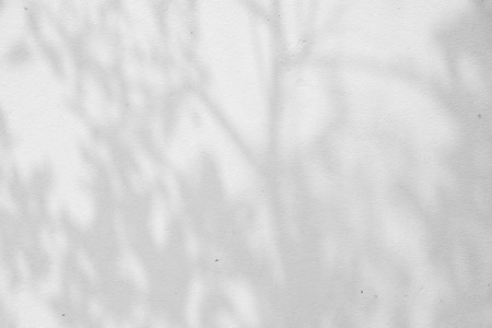 abstract background textuer of shadows leaf on a concrete wall.の写真素材