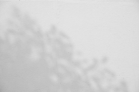 abstract background textuer of shadows leaf on a concrete wall.