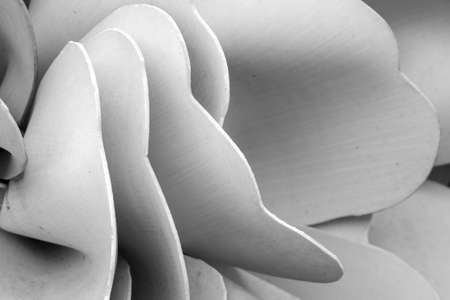 Abstract lines on architecture. modern architecture detail. Refined fragment of contemporary office...
