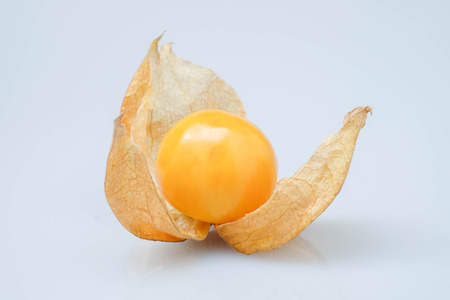 Cape gooseberry fruit , physalis isolated on white backgroundの写真素材