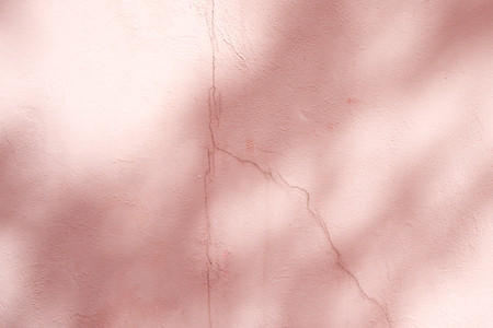 abstract background textuer of shadows leaf on a concrete wallの写真素材