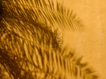 abstract background texture of shadows leaf on yellow concrete wallの写真素材