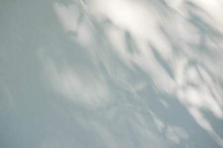 Black and White abstract background textuer of shadows leaf on a concrete wallの写真素材