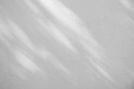 Black and White abstract background texture of shadows leaf on a concrete wallの写真素材