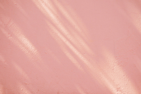 abstract background texture of shadows leaf on a concrete wallの写真素材