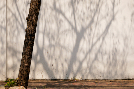 abstract background textuer of shadows leaf on a concrete wallの写真素材