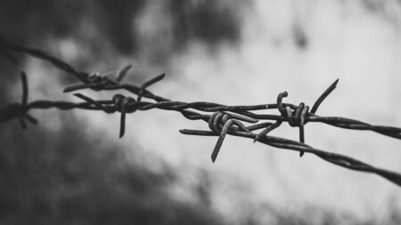 Barbed wire. Barbed wire on fence to feel worrying Conceptの写真素材