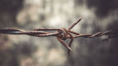 Barbed wire. Barbed wire on fence to feel worrying Conceptの写真素材