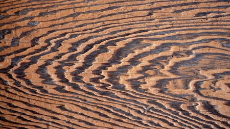 grunge wood plank Texture background for designの写真素材