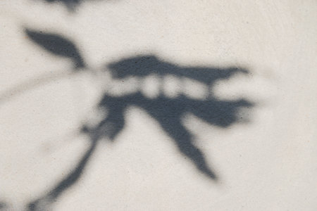 abstract background texture of shadows leaf on a concrete wall