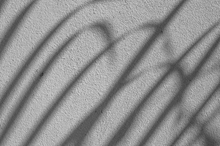 Black and White abstract background texture of shadows leaf on a concrete wall.