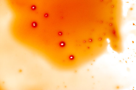 Blood stains on a white background