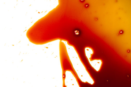 Blood stains on a white backgroundの写真素材