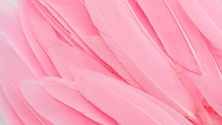 pink feather wool pattern texture backgroundの写真素材
