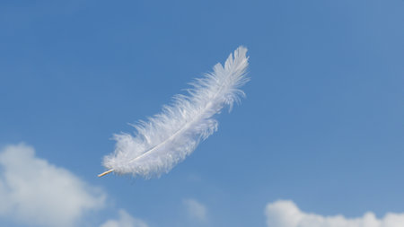 Beautiful Soft and Light White Fluffy Feathers Floating inThe Sky with Cloudsの写真素材