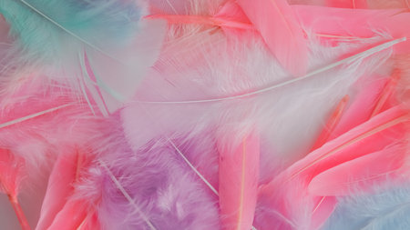 pink feather wool pattern texture backgroundの写真素材